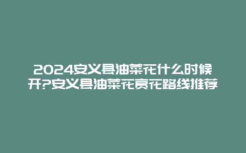 2024安义县油菜花什么时候开?安义县油菜花赏花路线推荐