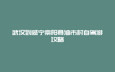 武汉到咸宁崇阳县油市村自驾游攻略