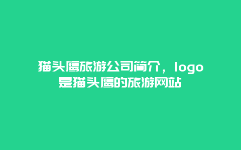 猫头鹰旅游公司简介，logo是猫头鹰的旅游网站