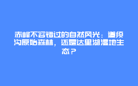 赤峰不容错过的自然风光：道须沟原始森林，还是达里湖湿地生态？