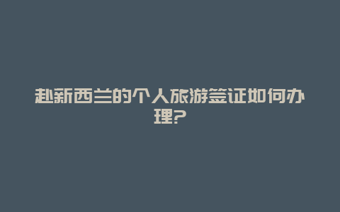 赴新西兰的个人旅游签证如何办理?