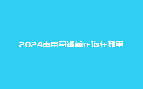 2024南京马鞭草花海在哪里