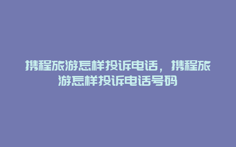 携程旅游怎样投诉电话，携程旅游怎样投诉电话号码