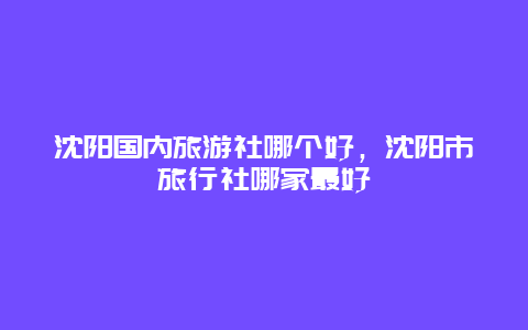 沈阳国内旅游社哪个好，沈阳市旅行社哪家最好