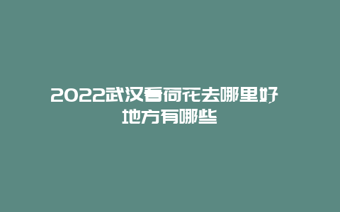 2022武汉看荷花去哪里好 地方有哪些