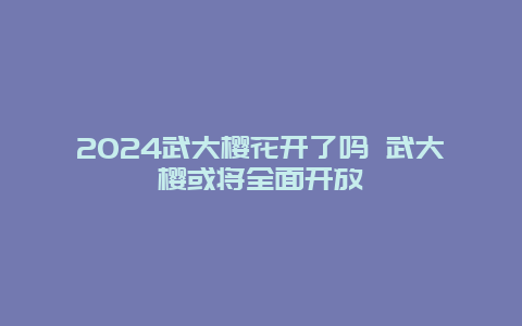 2024武大樱花开了吗 武大樱或将全面开放