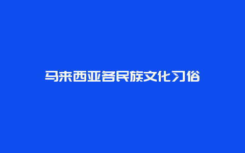 马来西亚各民族文化习俗