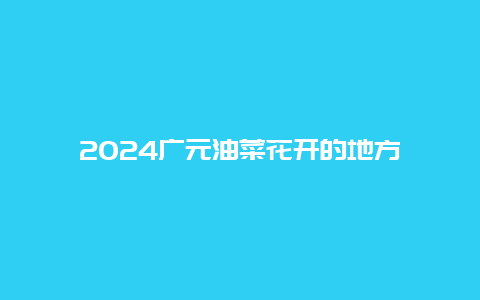 2024广元油菜花开的地方