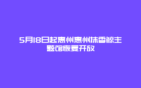 5月18日起惠州惠州抹香鲸主题馆恢复开放