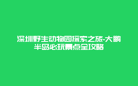 深圳野生动物园探索之旅-大鹏半岛必玩景点全攻略