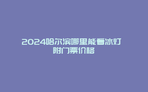 2024哈尔滨哪里能看冰灯 附门票价格