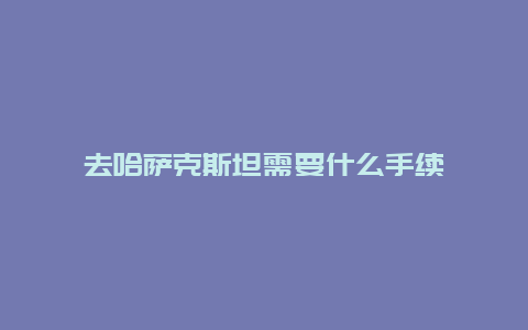 去哈萨克斯坦需要什么手续