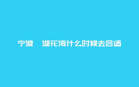 宁波荪湖花海什么时候去合适