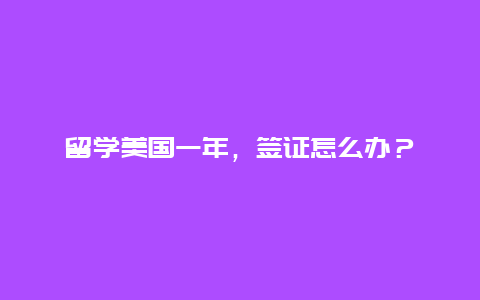 留学美国一年，签证怎么办？