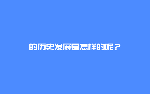 的历史发展是怎样的呢？