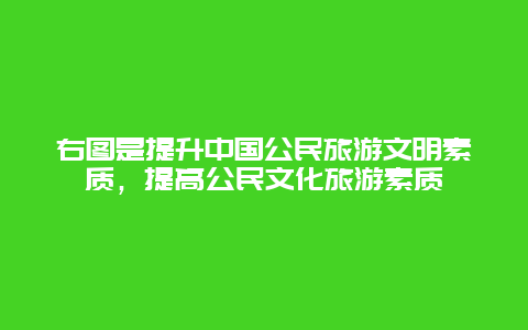 右图是提升中国公民旅游文明素质，提高公民文化旅游素质