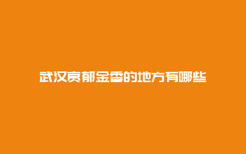 武汉赏郁金香的地方有哪些