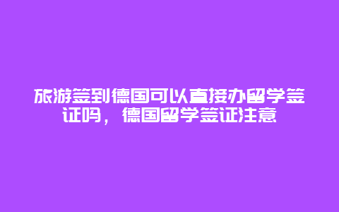 旅游签到德国可以直接办留学签证吗，德国留学签证注意