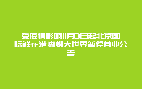 受疫情影响11月3日起北京国际鲜花港蝴蝶大世界暂停营业公告