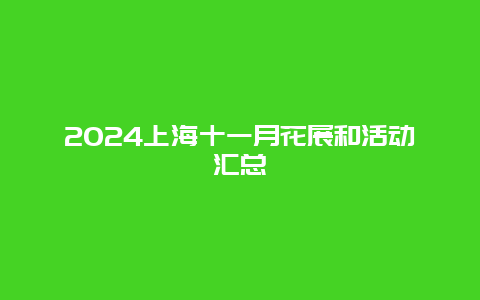 2024上海十一月花展和活动汇总