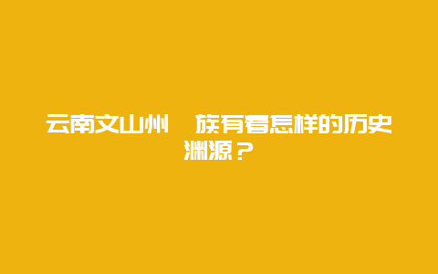 云南文山州彝族有着怎样的历史渊源？