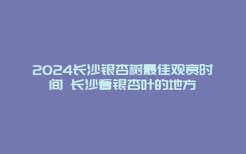 2024长沙银杏树最佳观赏时间 长沙看银杏叶的地方