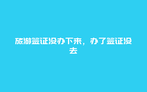 旅游签证没办下来，办了签证没去