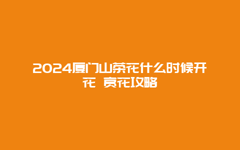 2024厦门山茶花什么时候开花 赏花攻略