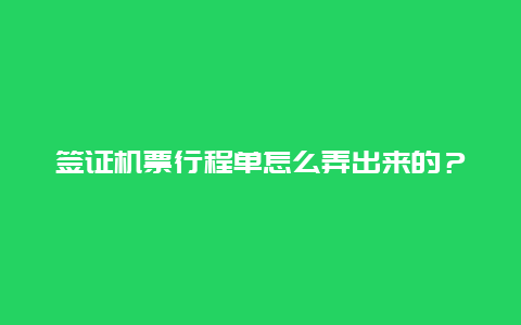 签证机票行程单怎么弄出来的？