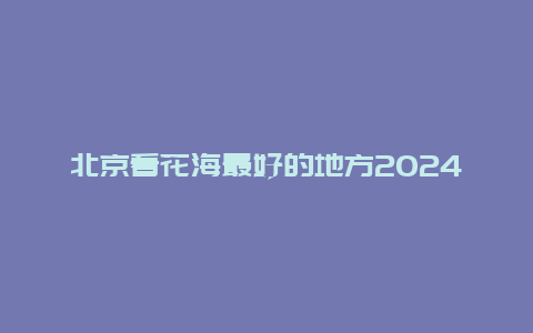 北京看花海最好的地方2024