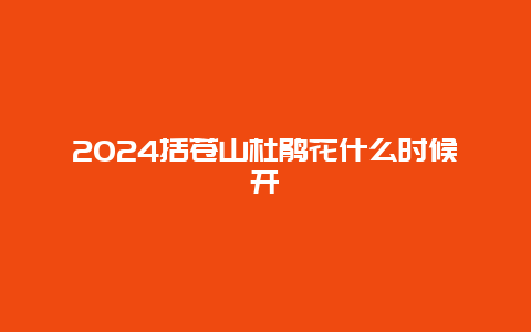 2024括苍山杜鹃花什么时候开