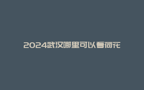 2024武汉哪里可以看荷花