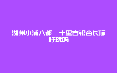 湖州小浦八都岕十里古银杏长廊好玩吗