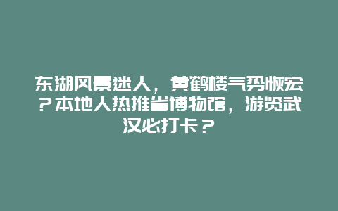 东湖风景迷人，黄鹤楼气势恢宏？本地人热推省博物馆，游览武汉必打卡？