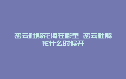 密云杜鹃花海在哪里 密云杜鹃花什么时候开