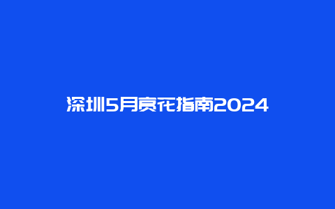 深圳5月赏花指南2024