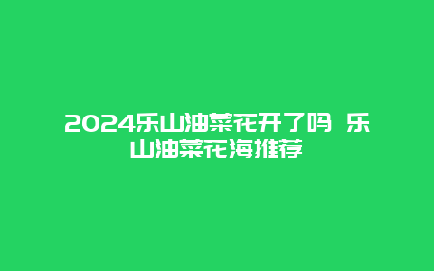 2024乐山油菜花开了吗 乐山油菜花海推荐