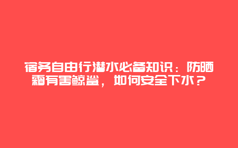 宿务自由行潜水必备知识：防晒霜有害鲸鲨，如何安全下水？