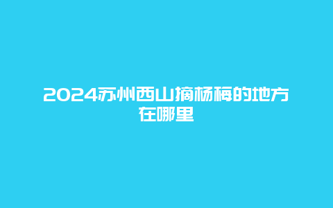 2024苏州西山摘杨梅的地方在哪里