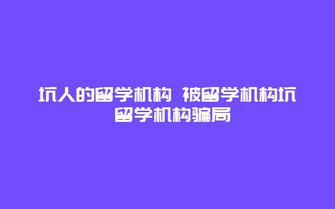 坑人的留学机构 被留学机构坑 留学机构骗局