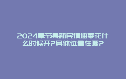 2024奉节县新民镇油菜花什么时候开?具体位置在哪?