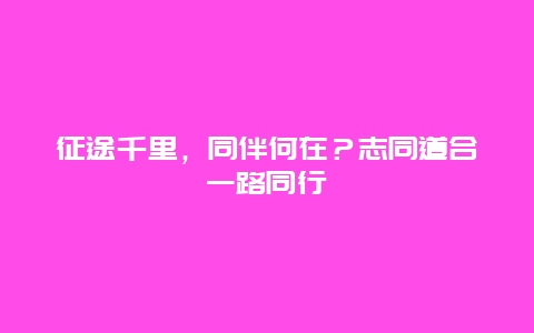 征途千里，同伴何在？志同道合一路同行