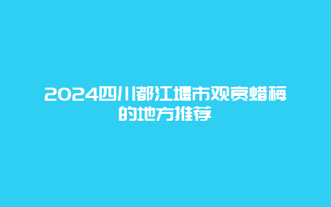 2024四川都江堰市观赏蜡梅的地方推荐