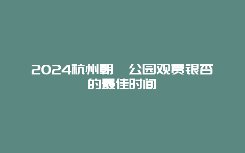 2024杭州朝晖公园观赏银杏的最佳时间