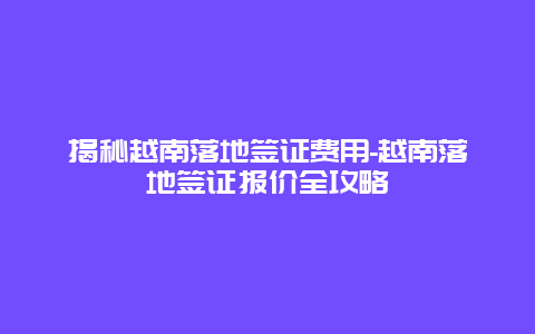 揭秘越南落地签证费用-越南落地签证报价全攻略