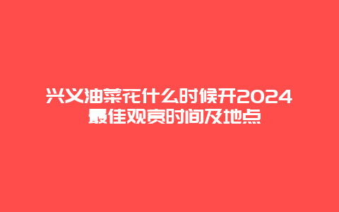 兴义油菜花什么时候开2024 最佳观赏时间及地点