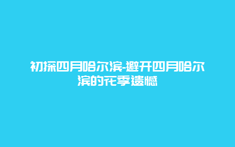 初探四月哈尔滨-避开四月哈尔滨的花季遗憾