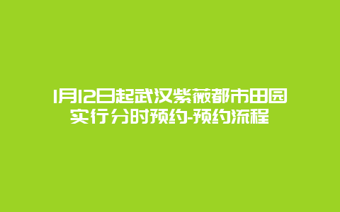 1月12日起武汉紫薇都市田园实行分时预约-预约流程