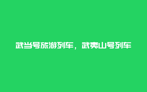 武当号旅游列车，武夷山号列车