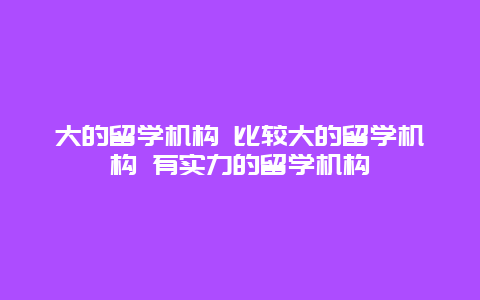 大的留学机构 比较大的留学机构 有实力的留学机构